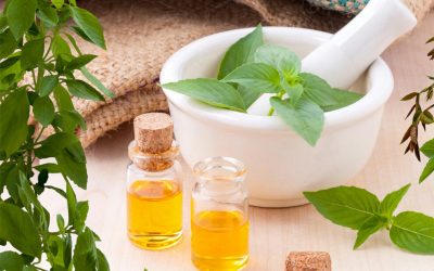 20220329_capa_medicamentosnaturais