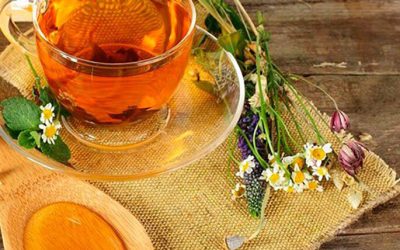 conheca-alguns-remedios-naturais-que-combatem-bacterias